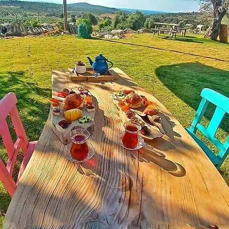 Vadi Alaçatı- Bungalow Otel *