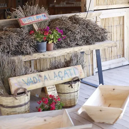 Vadi Alaçatı- Bungalow *